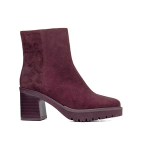 679963| SOLE 1.1-1.3 / PRUGNA | CANTARE
