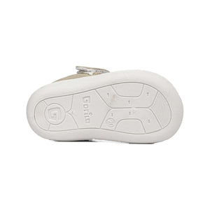 72602 | CAMAT / PIEDRA | SUN LIGHT