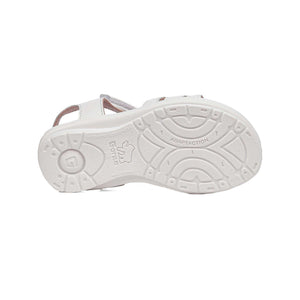 79301 | NAPA / BLANCO | BRISA