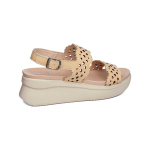 29924 | FLOTY 1.2-1.4 / CREMA | PIATTO