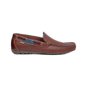 74200 | CAVALLO LIBERO 2MM / GIACINTO | STERLINA