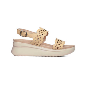 29924 | FLOTY 1.2-1.4 / CREMA | PIATTO