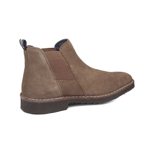 60402 | ANTE 1.5-1.7 / TRUFA | GENE