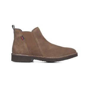 60402 | ANTE 1.5-1.7 / TRUFA | GENE