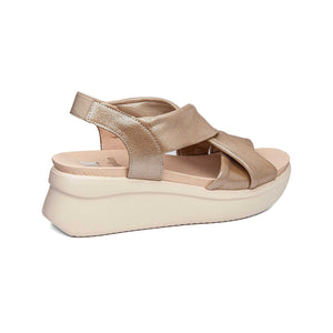 29904 | ATENEA / CAVA | LLANA