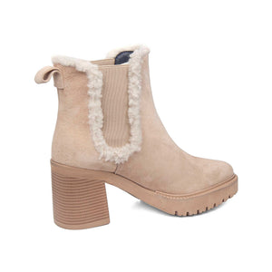 679969 | SUN 1.1-1.3 / HUMMUS | SING