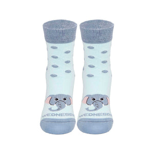 13| CALZE CON PALETTE / AZZURRO | MERCOLEDI ELEFA