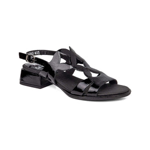 34403 | ELYS / NEGRO | KYLIE