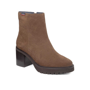 679963 | ANTE 1.5-1.7 / CAMEL | SING