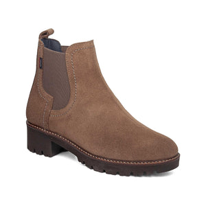 13462 | SUN 1.1-1.3 / TRUFA | FREESTYLE