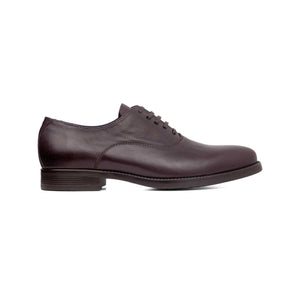 52901 | SUTTER / BROWN | BRIAN