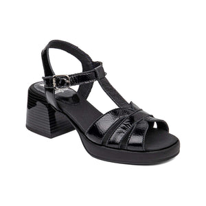 33502 | VERNY / NEGRO | NIZA