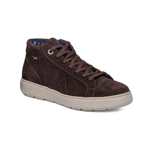 54806| SOLE 1.1-1.3 / TESTA | PINTA