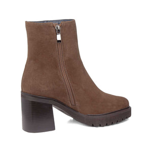 679963 | ANTE 1.5-1.7 / CAMEL | SING