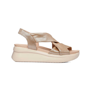 29904 | ATENEA / CAVA | LLANA