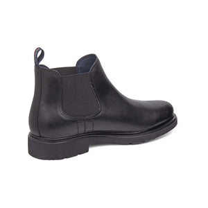 52806 | SUTTER / NEGRO | WHO