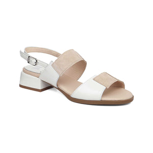 34401 | VERNY / BLANCO | KYLIE