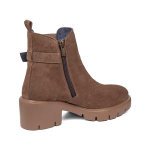 35603 | SUN 1.1-1.3 / TRUFA | CLAUDIA