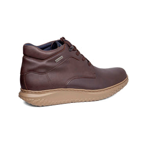 60901 | ORO / MARRONE | TERRENO ACQUA