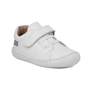 75954 | NAPA / WHITE | OINAK