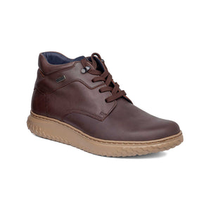 60901 | ORO / MARRONE | TERRENO ACQUA