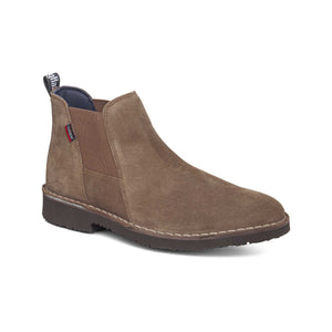 60402 | ANTE 1.5-1.7 / TRUFA | GENE