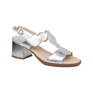 34205 | ELYS / PLATA | KIMY