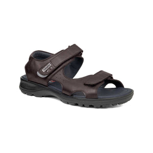 86103 | WINDSOFT1.2-1.4 / MARRON | SINATRA