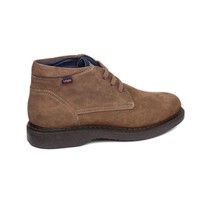 12302| ANTE 1,5-1,7 / TARTUFO | CREP GRATUITO