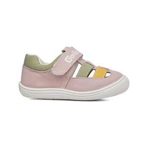 Italiano: CAMAT / ROSA | LUCE DEL SOLE