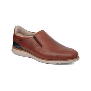 65001 | PATRIMONIO / JACINTO | SOLE FACILE